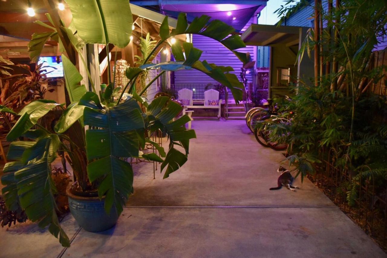 The Dragonfly Treme Guest House ニューオーリンズ エクステリア 写真
