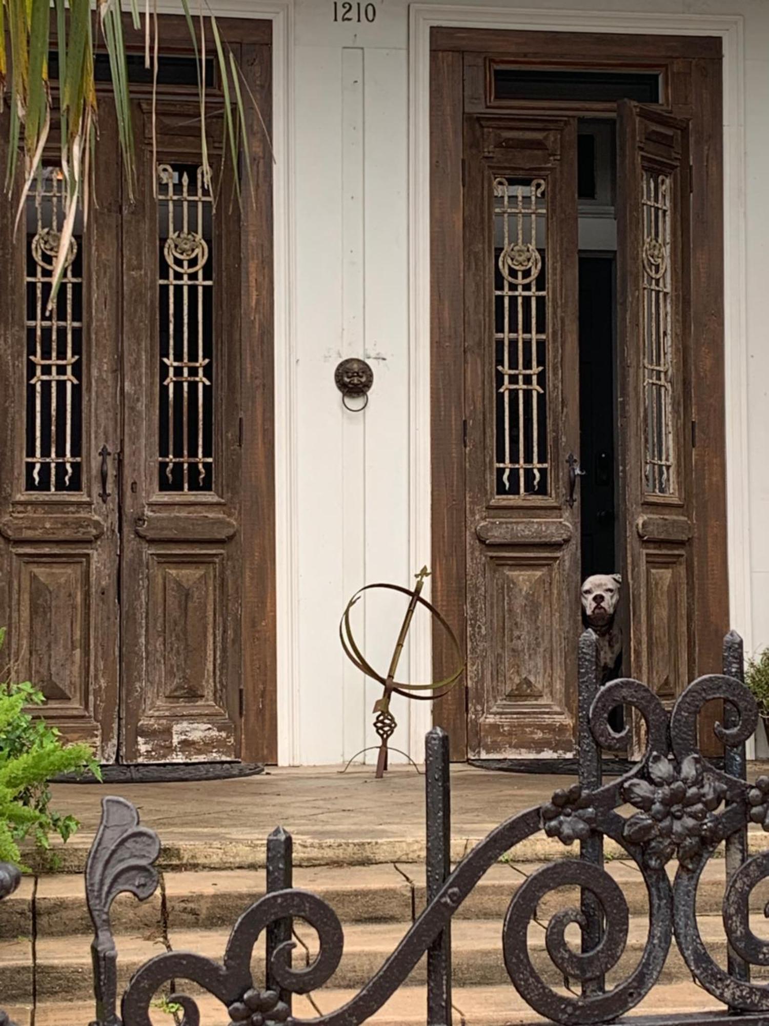 The Dragonfly Treme Guest House ニューオーリンズ エクステリア 写真