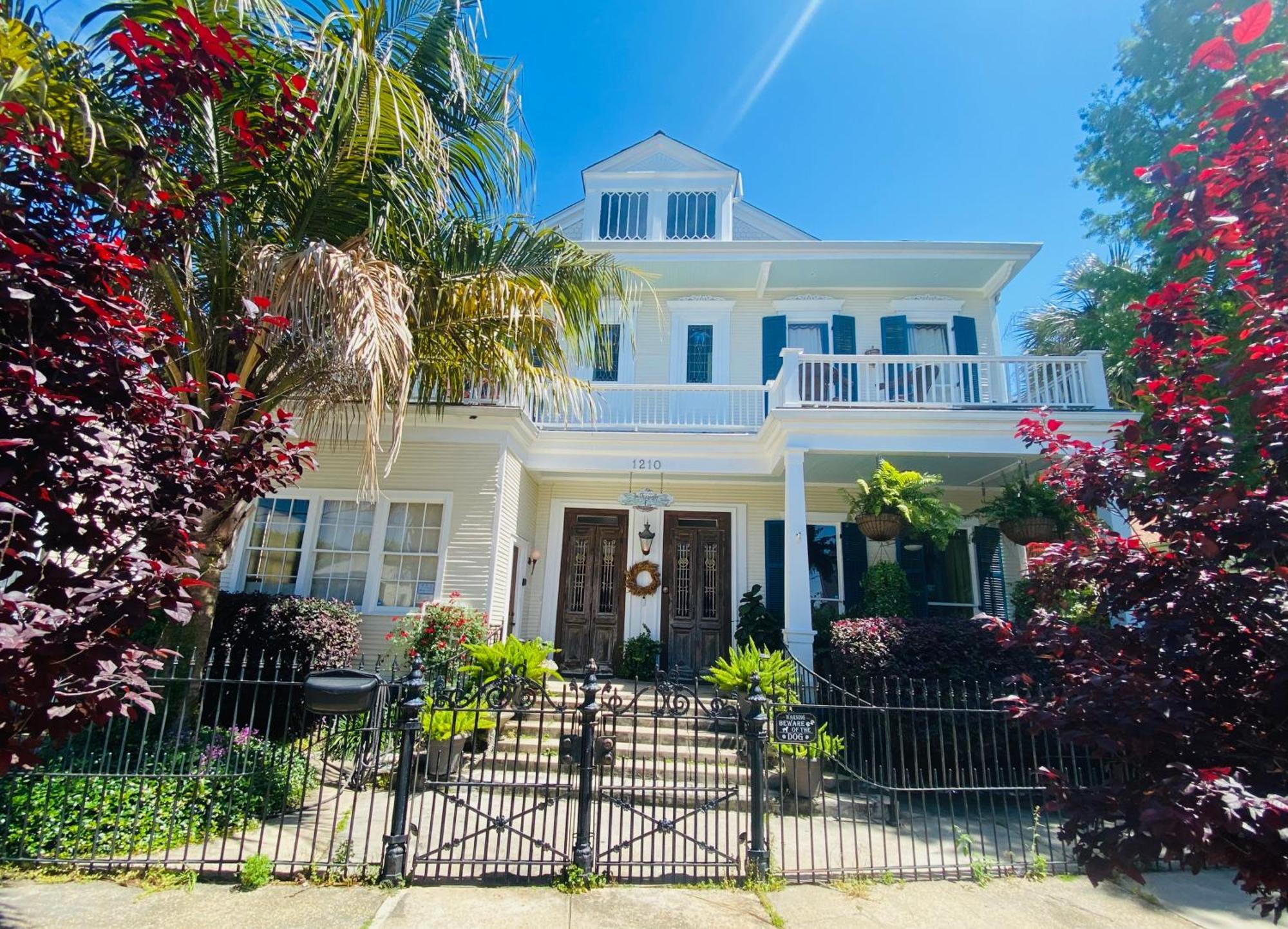 The Dragonfly Treme Guest House ニューオーリンズ エクステリア 写真