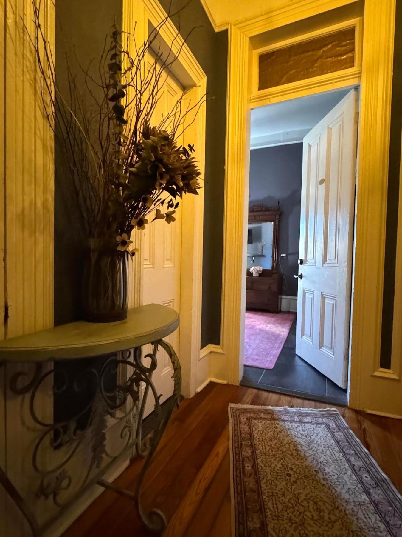 The Dragonfly Treme Guest House ニューオーリンズ エクステリア 写真